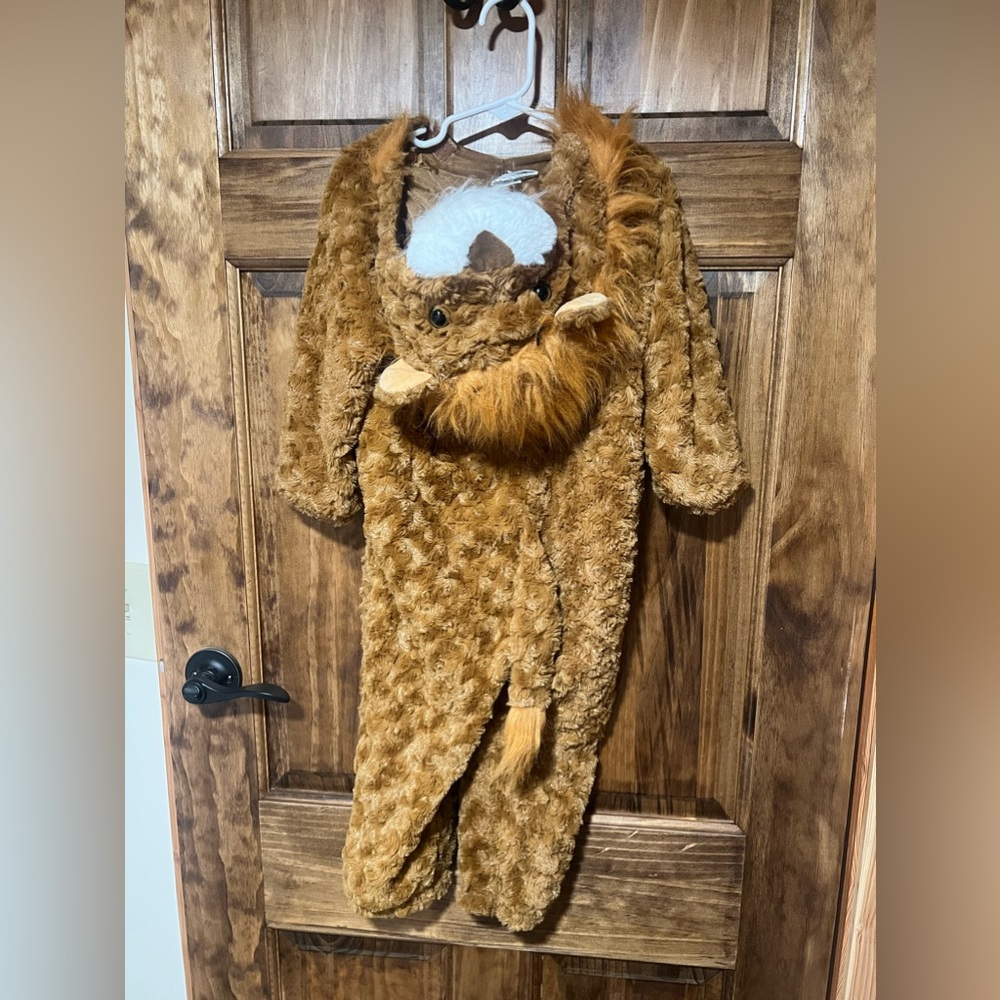 2-3t lion Halloween costume. Cozy, like new!
